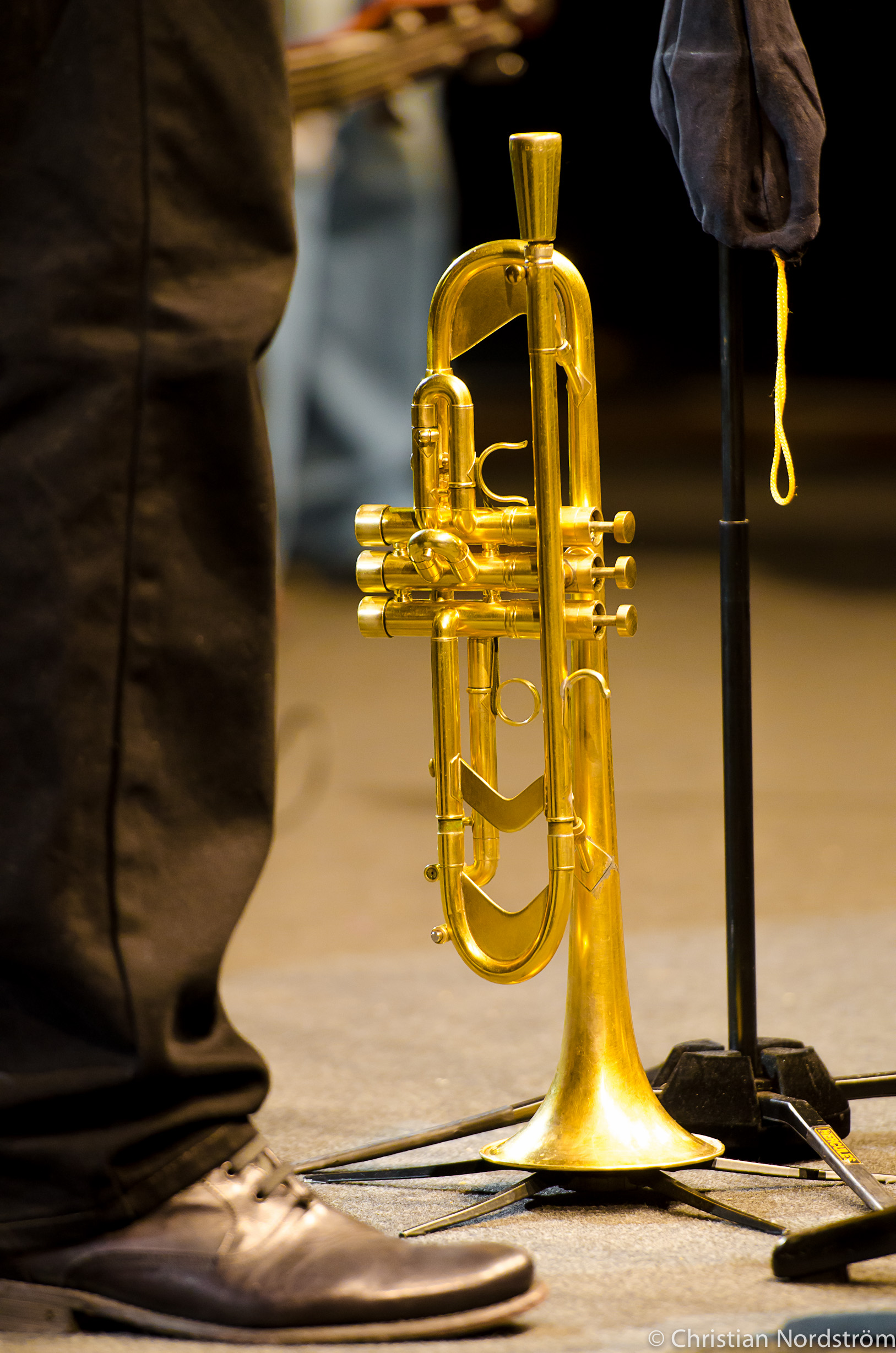 TromboneShortyBlueTone2012 29