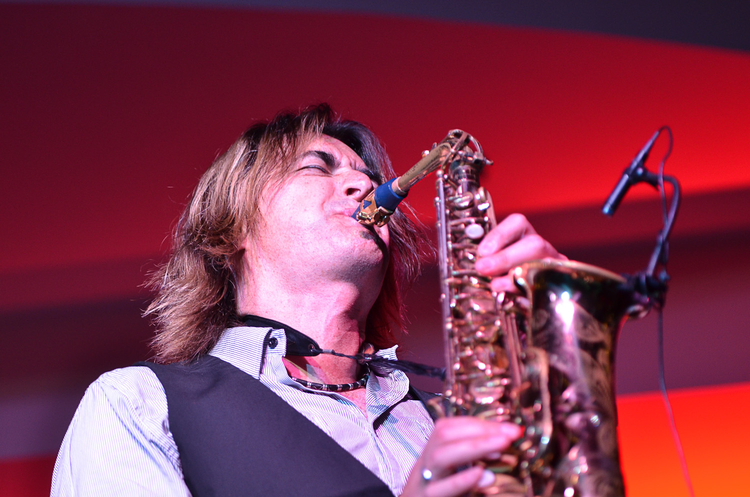 WarrenHillMallorca 24