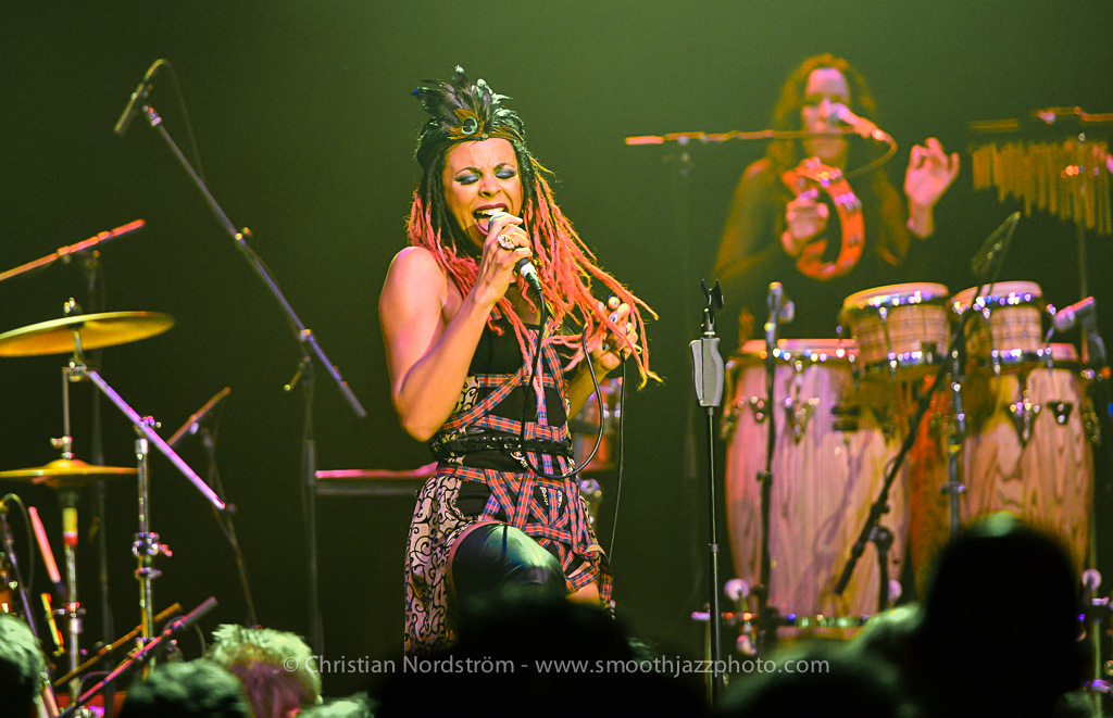 BrandNewHeaviesZurich 099