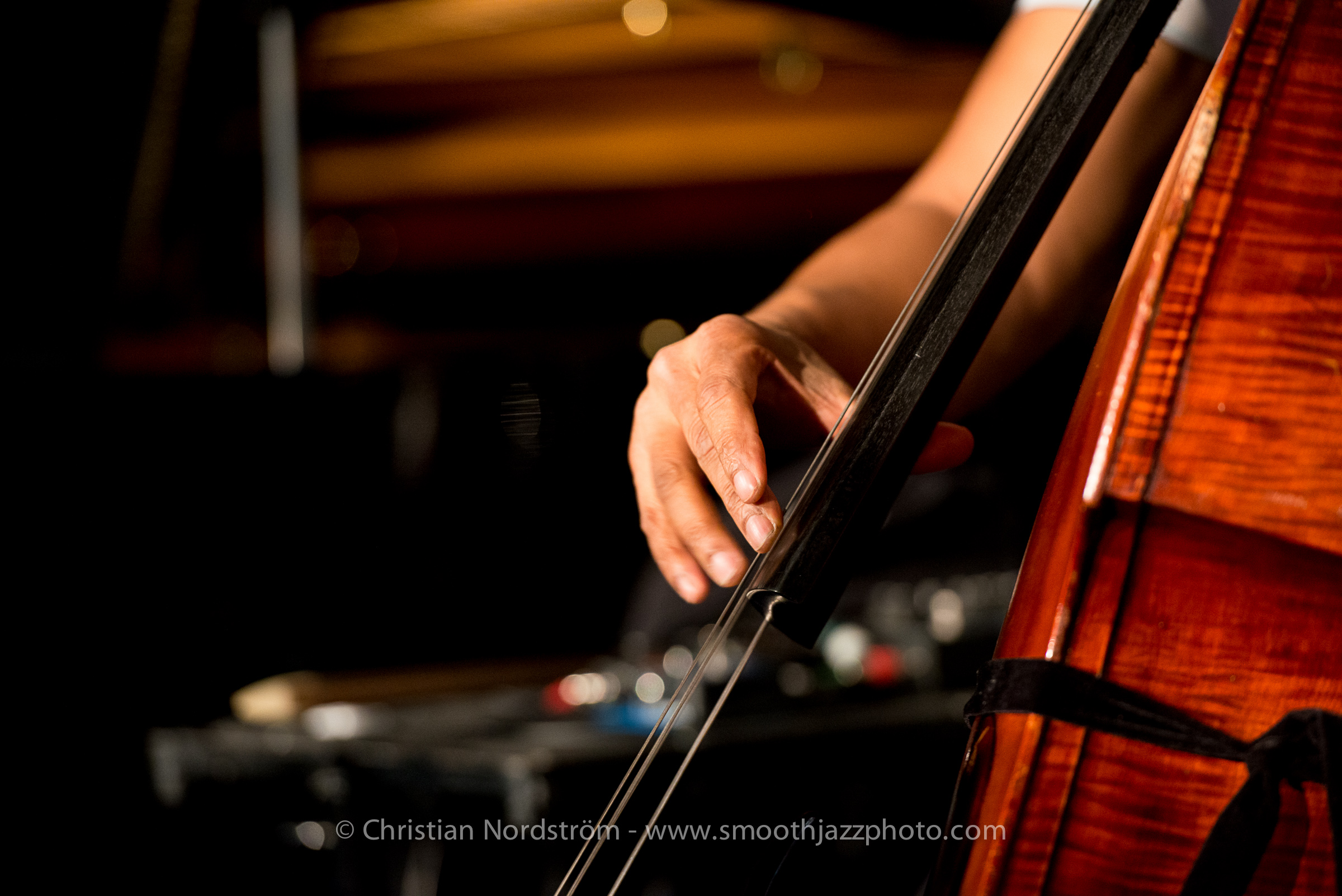 StanleyClarkeIngolstadt 011