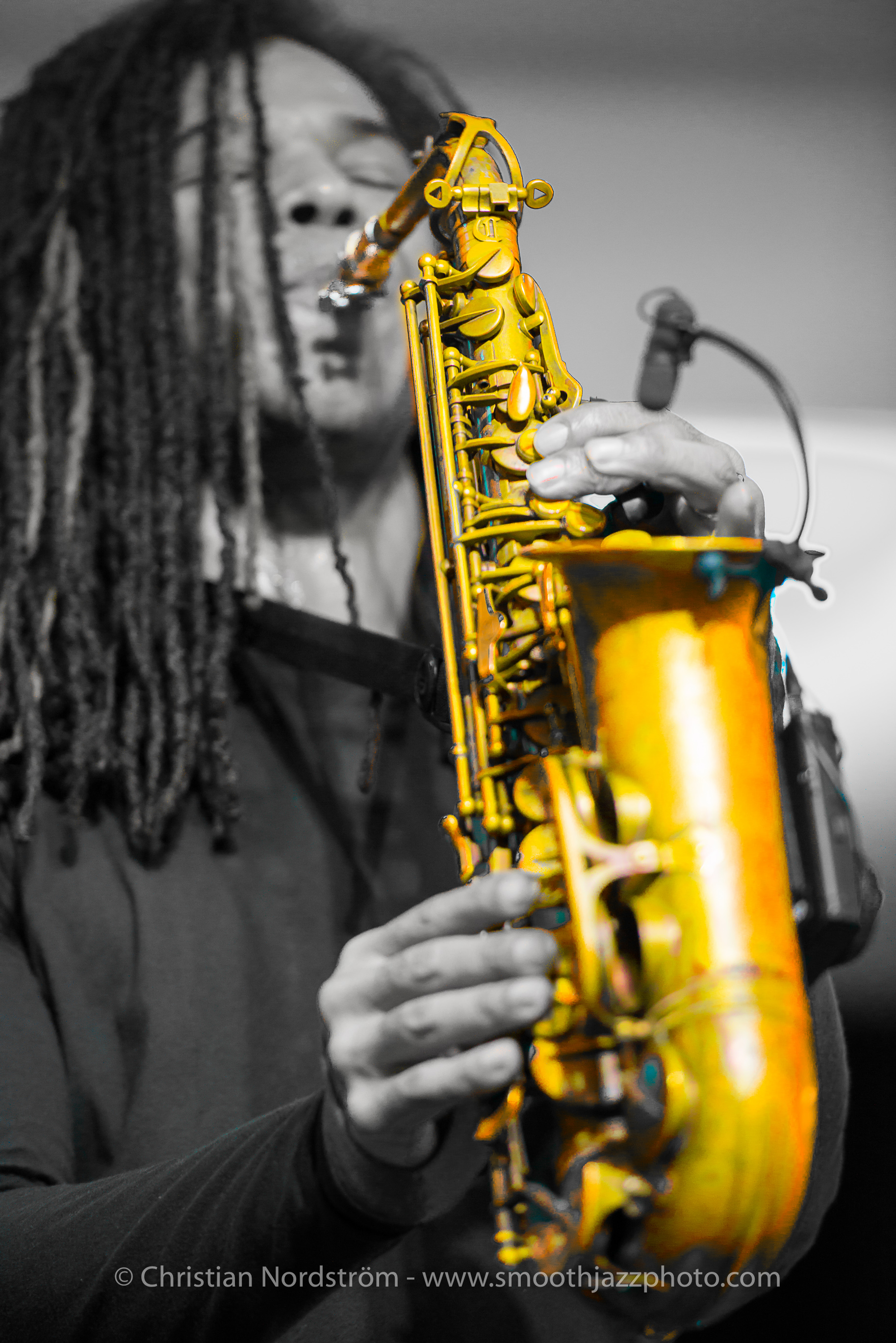 SJFM2016 PaulTaylor 046