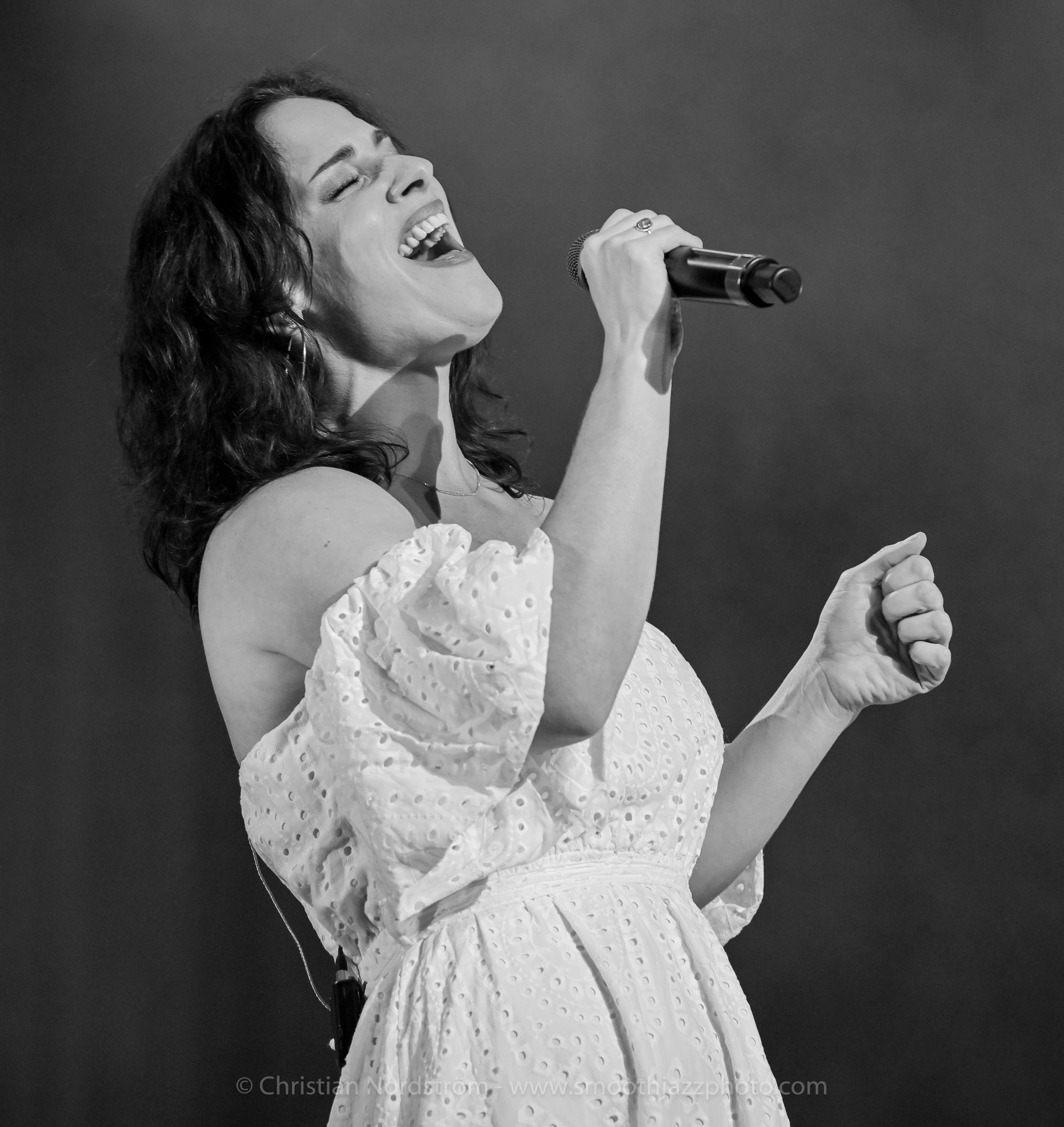 WebsterHawley DK2023 010