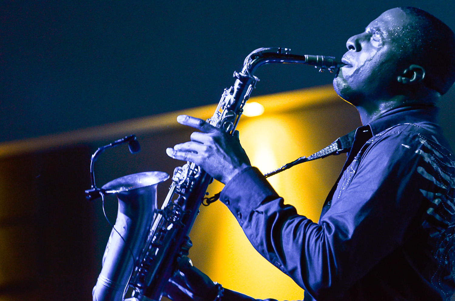 EricDariusMallorca 7