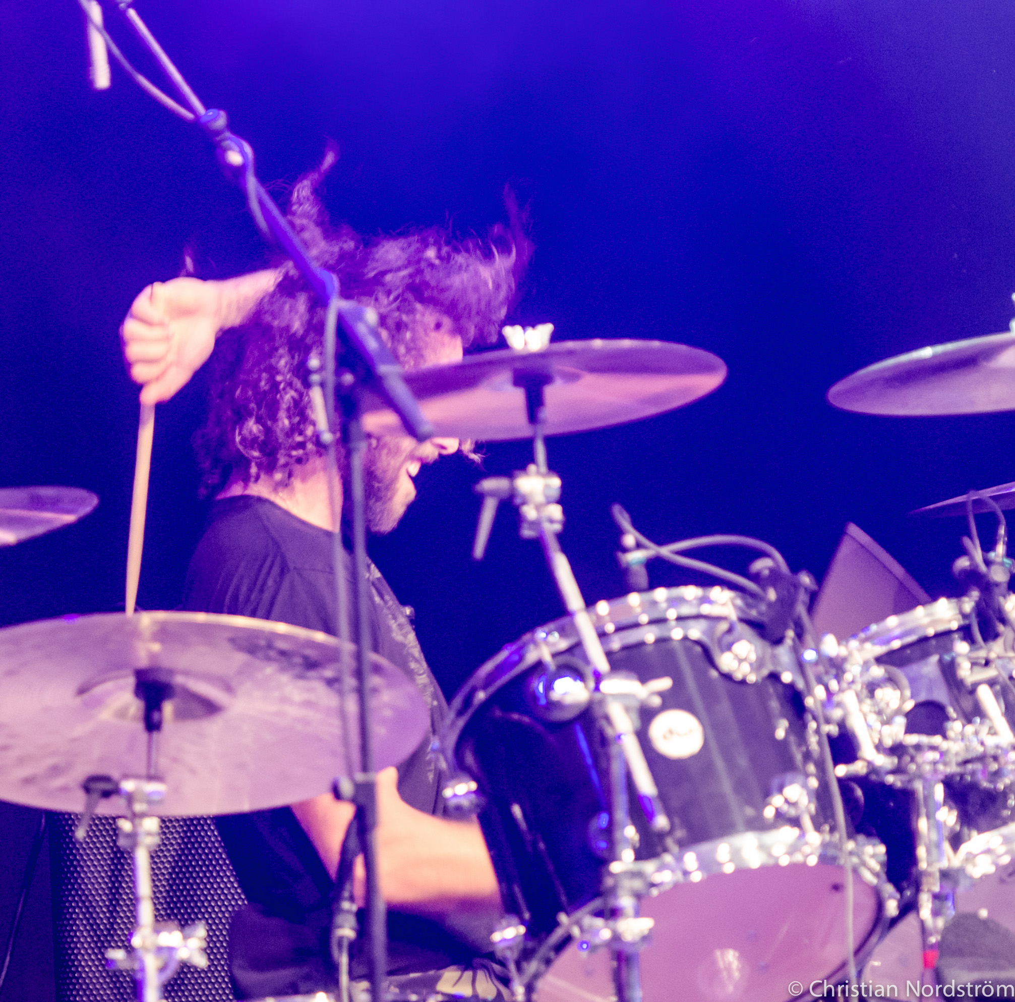 TromboneShortyBlueTone2012 5