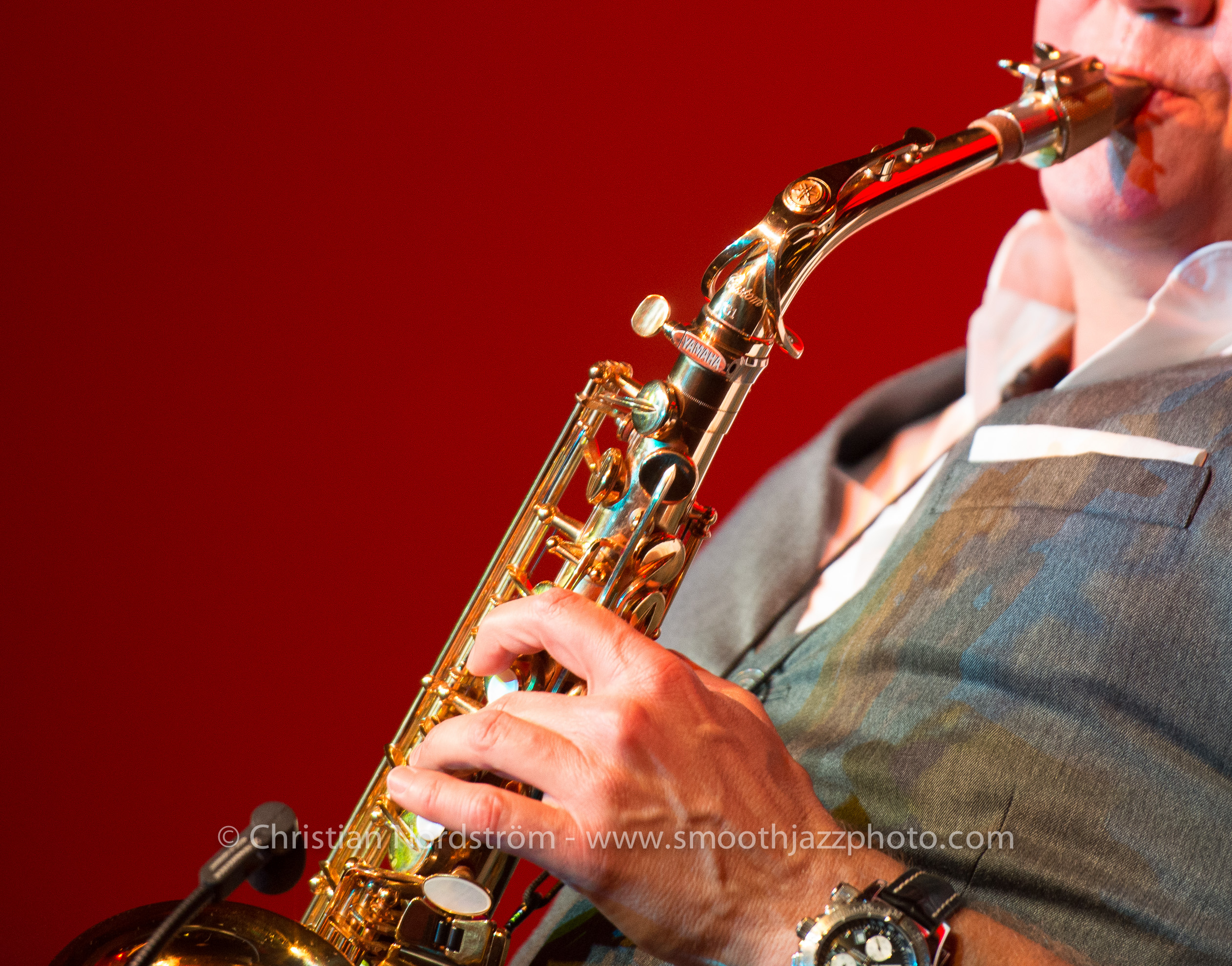 SmoothJazzMallorca2013 MichaelLington 19