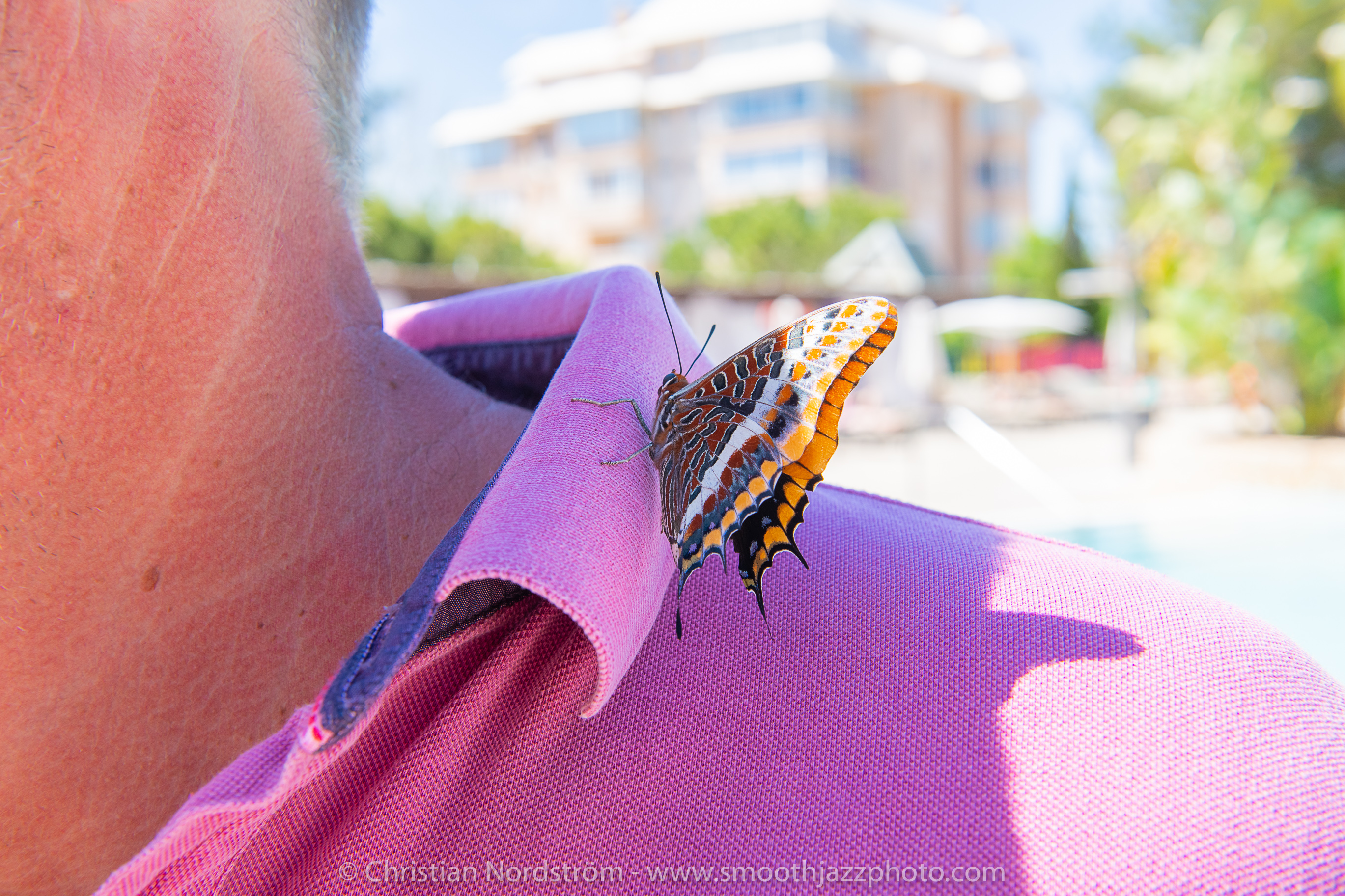 SJM2019 CoolbythePool1 010