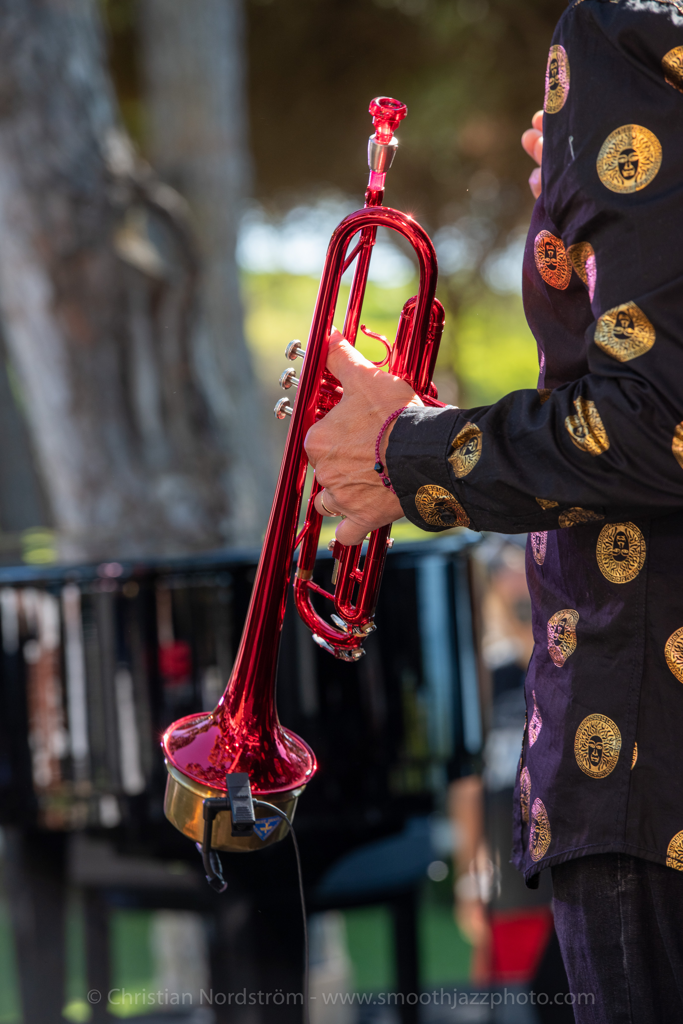 SJFA2019 GabrielMarkHasselbach 008