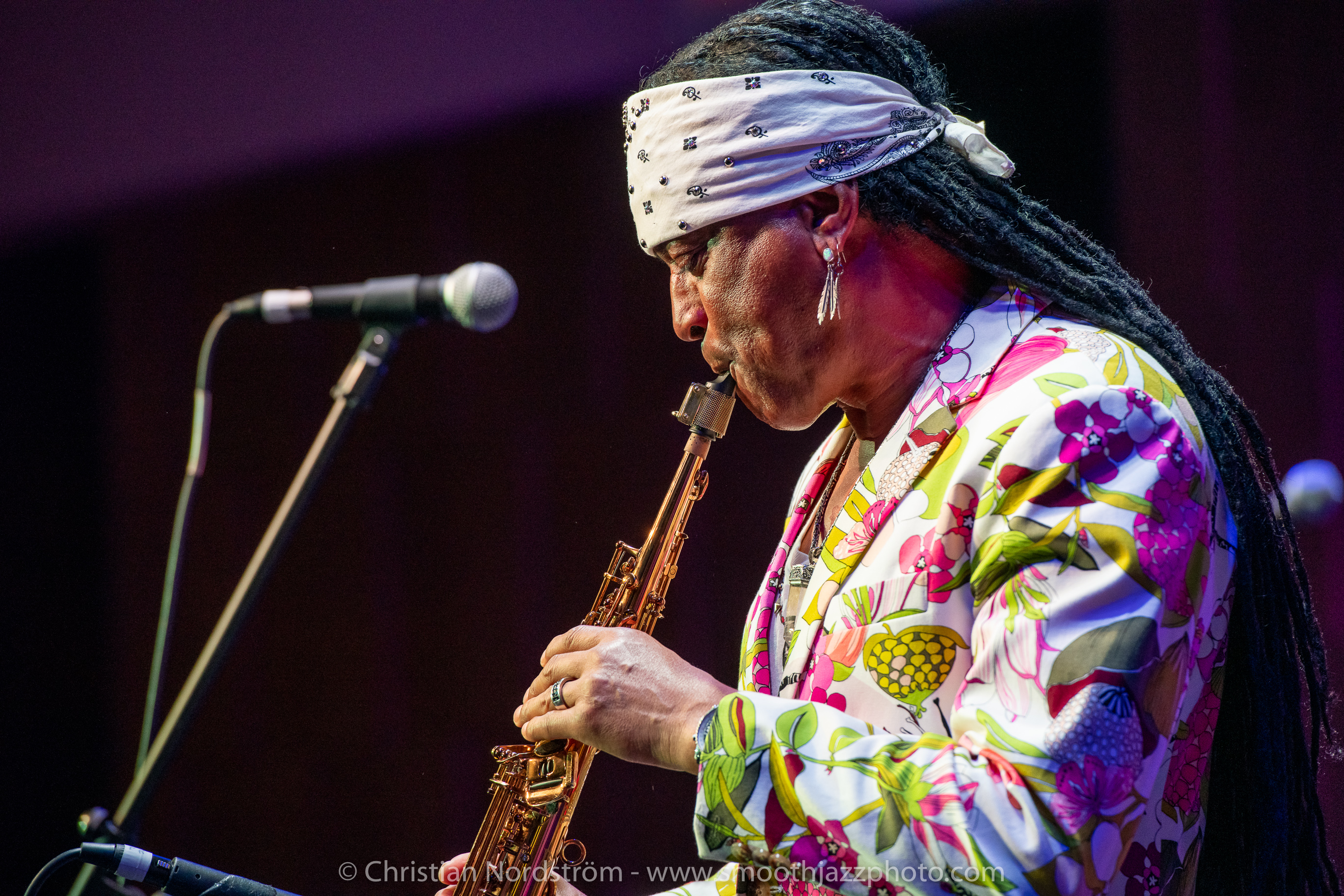 SJFM2019 MarionMeadows 003