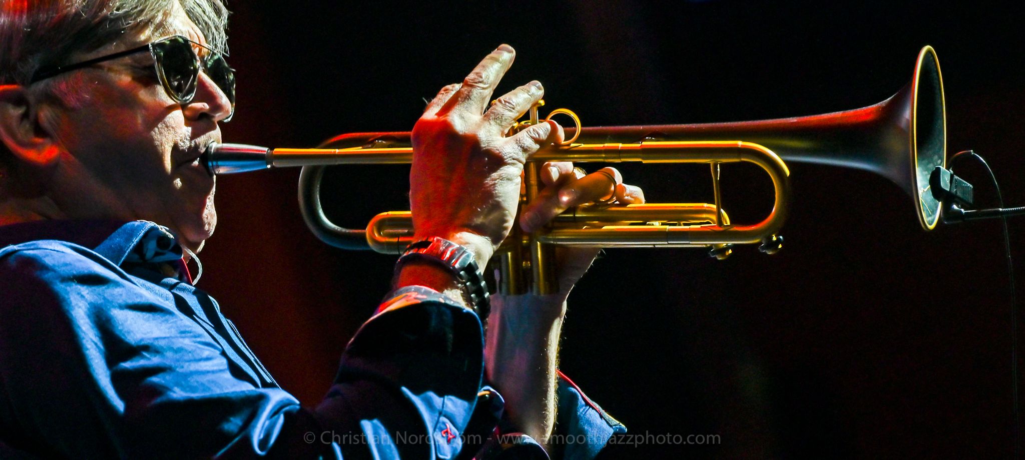 MatsuiBraunElliott 076