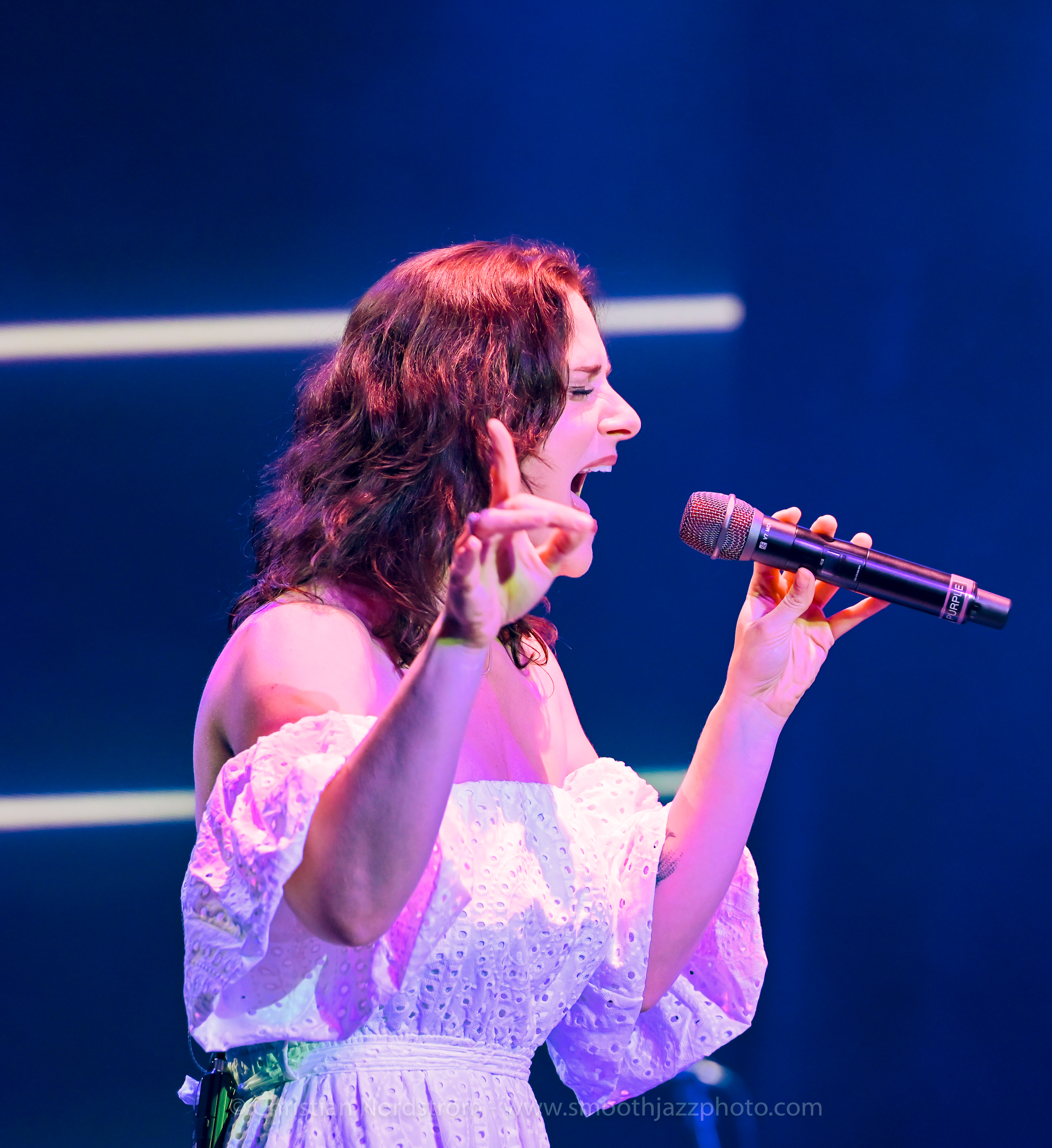 WebsterHawley DK2023 003