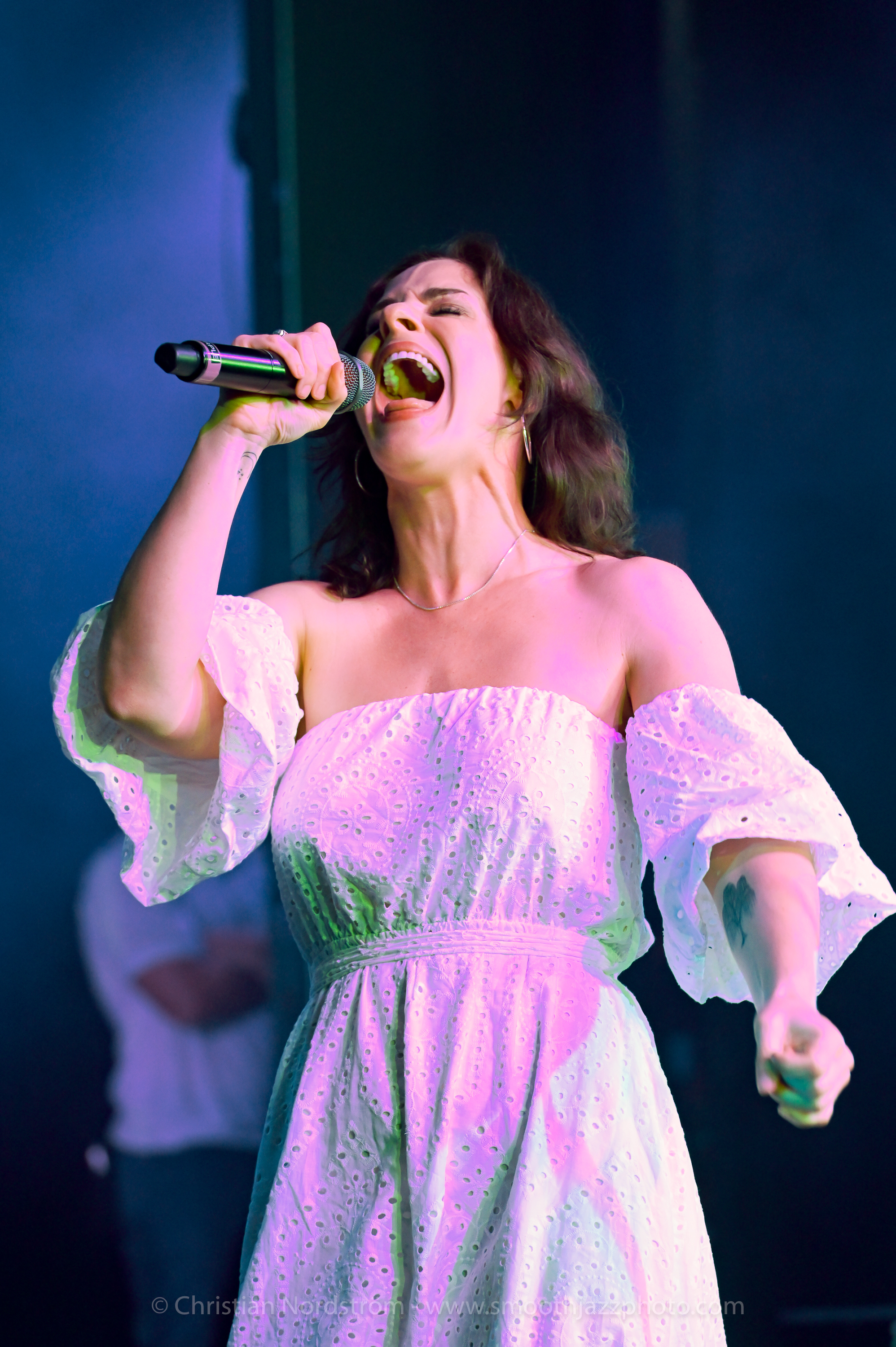 WebsterHawley DK2023 022