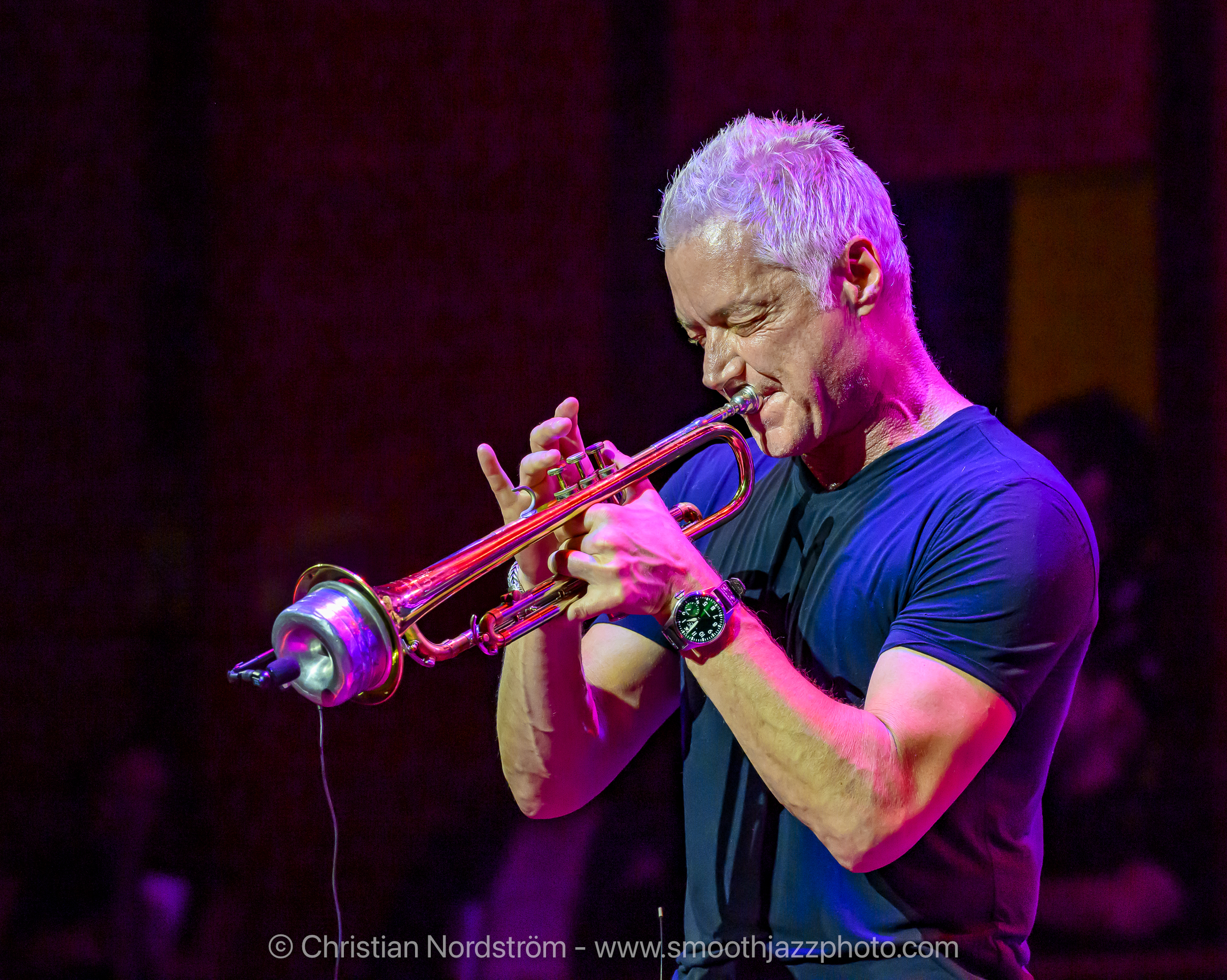 Chris Botti at Sea II - Chris Botti Midnight