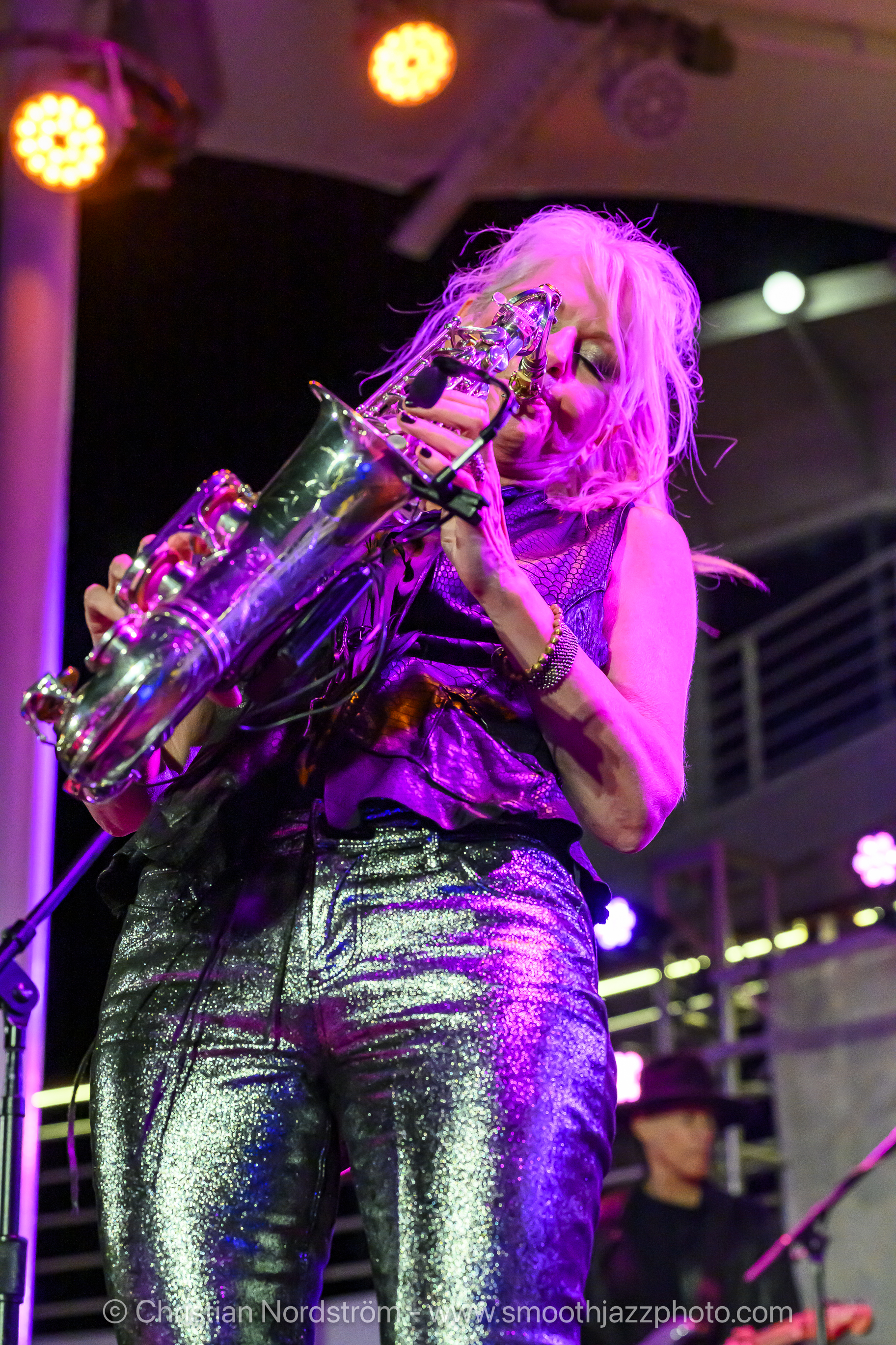 Chris Botti at Sea II - Mindi Abair Night Show