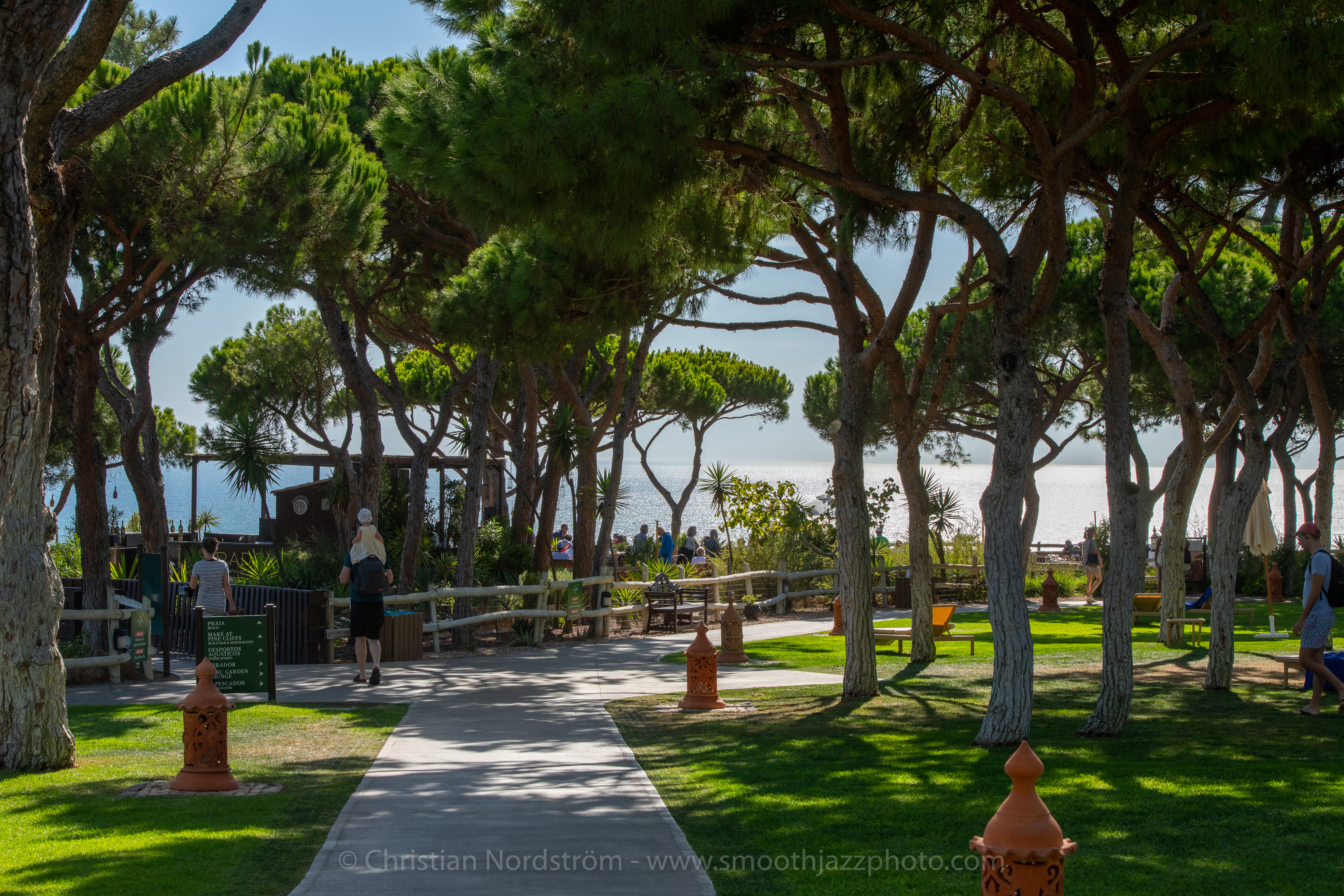 SJFA2019 Mirador 001