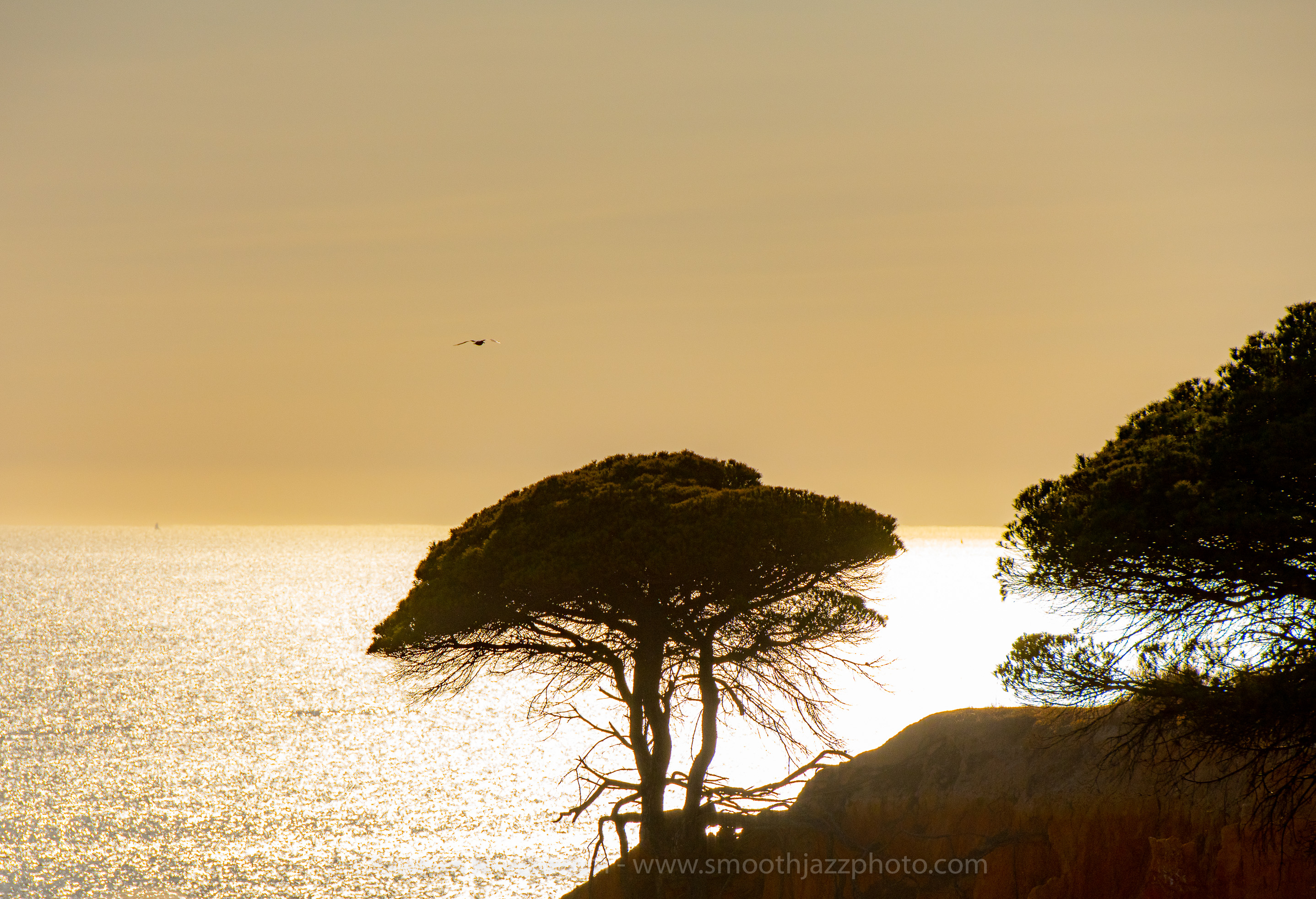 SJFA2019 Mirador 015