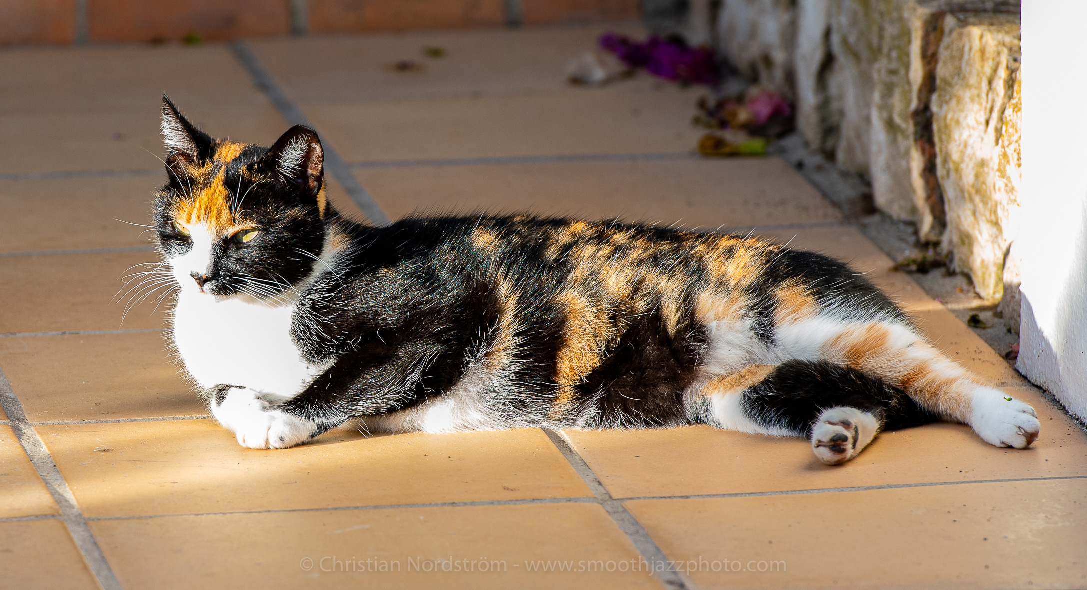 SJFA2019 Mirador 031