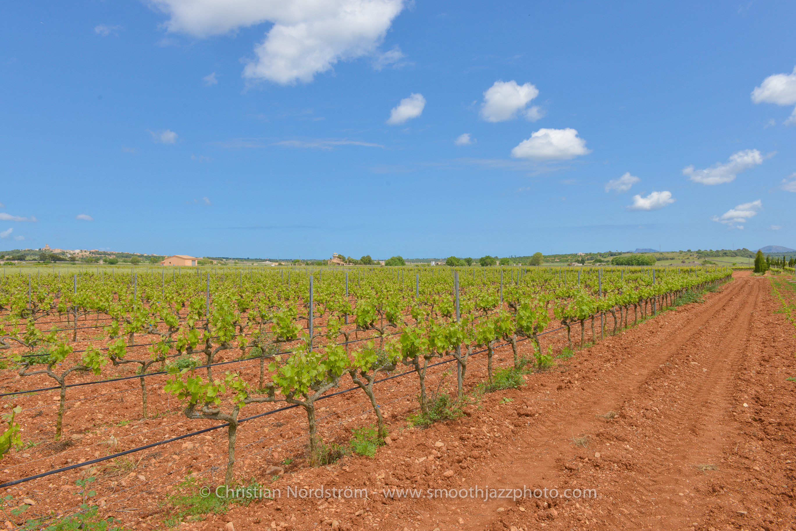 SmoothJazzMallorca2013 Bodega 31