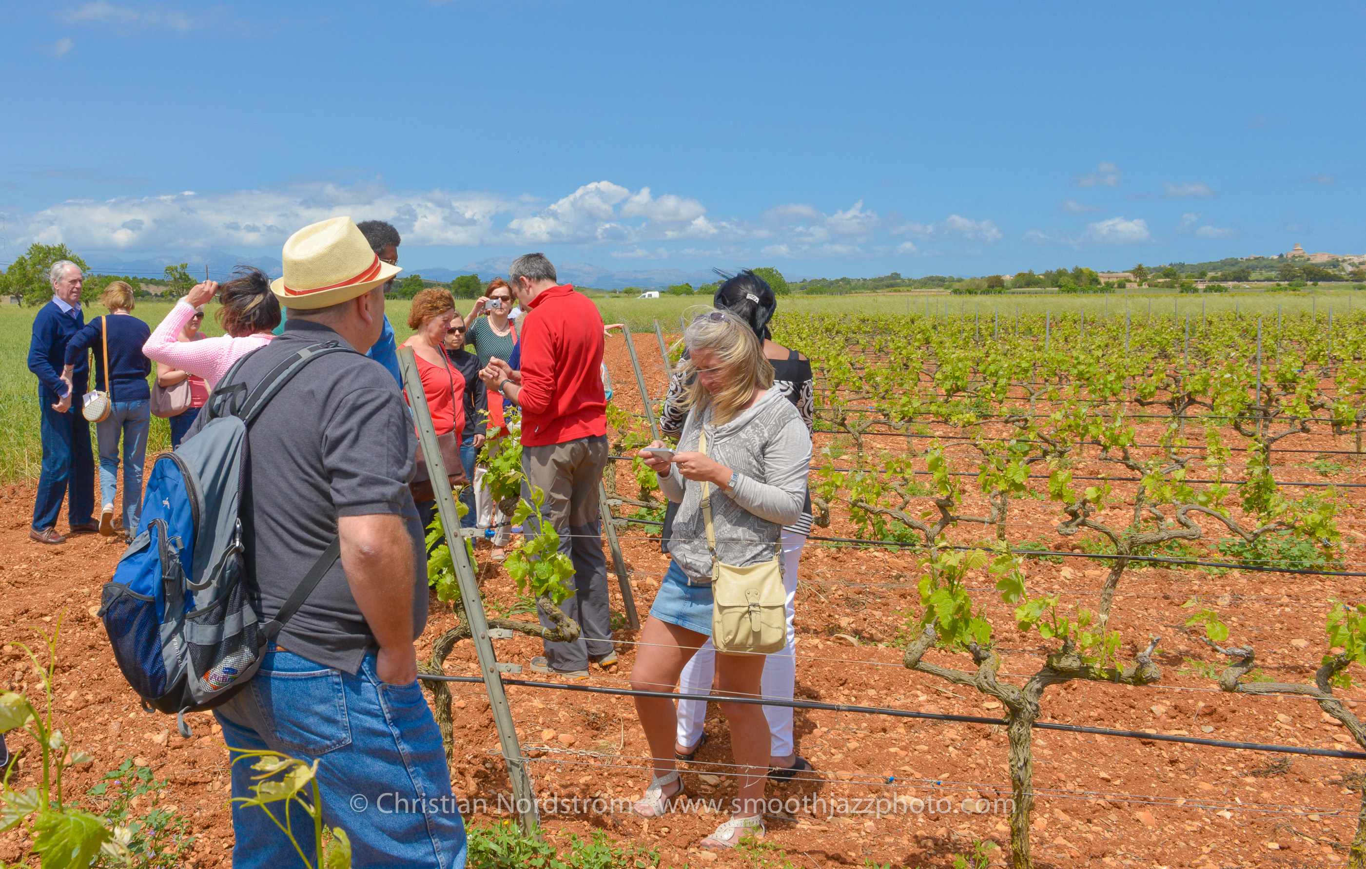 SmoothJazzMallorca2013 Bodega 33