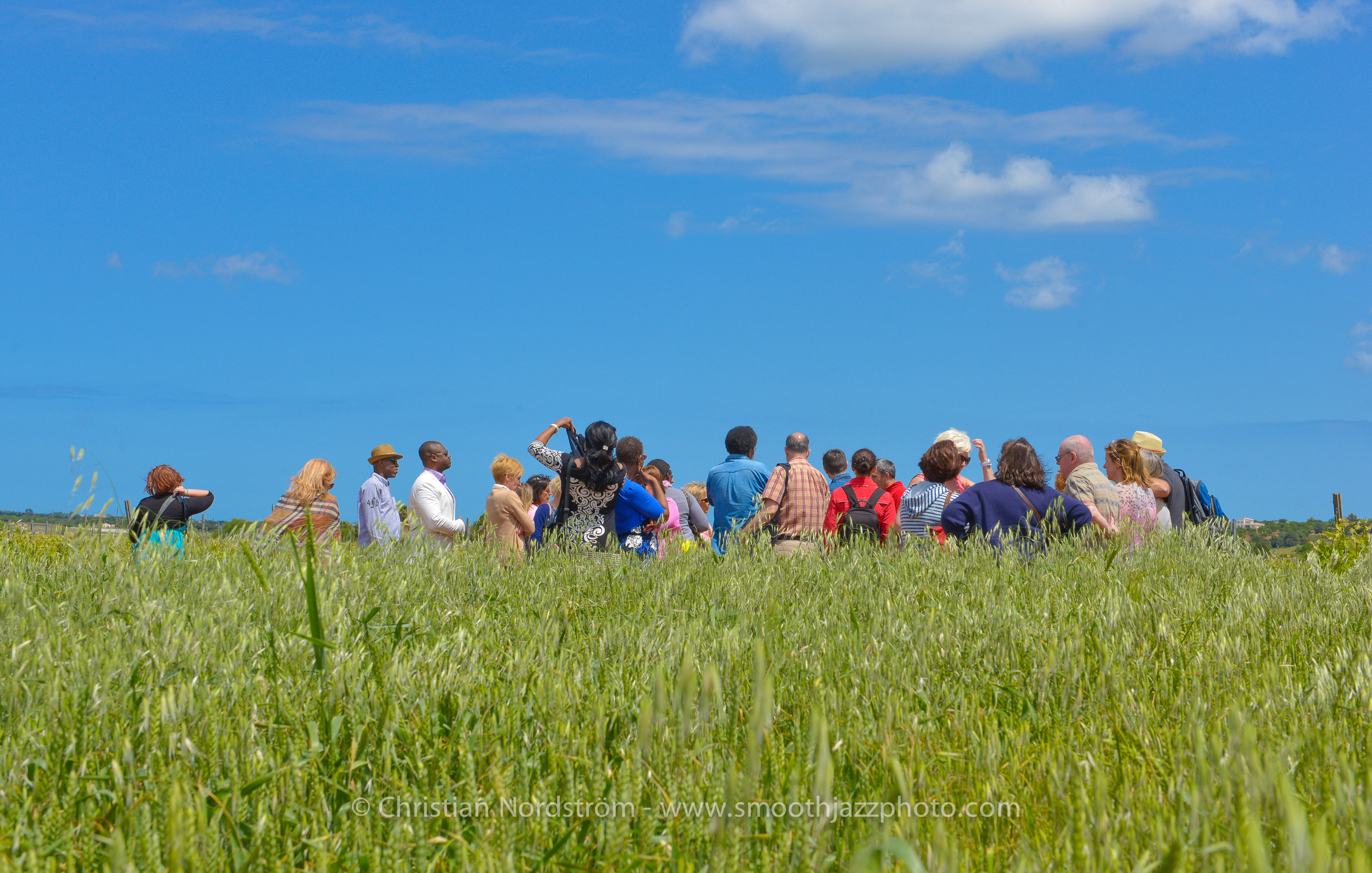 SmoothJazzMallorca2013 Bodega 34