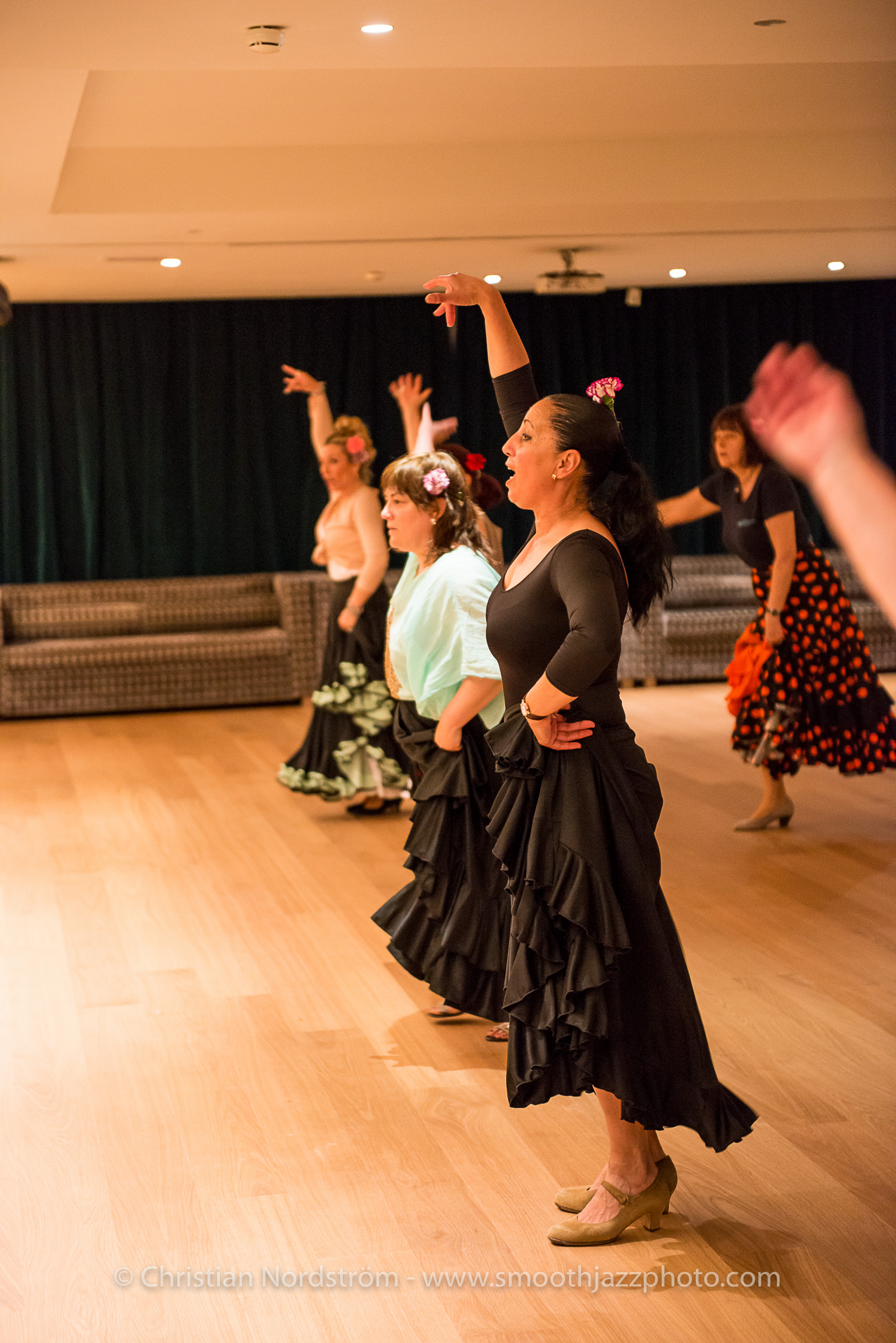 SJM2015 Flamenco 006